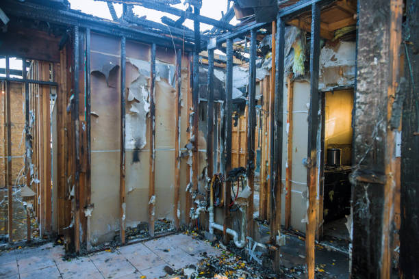 Professional Odor Removal technician working in Centereach, NY